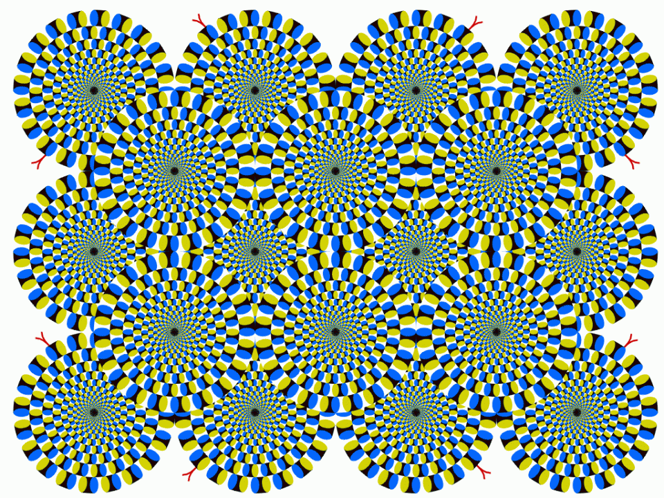 Optical Illusion Images Gif Funny (32)